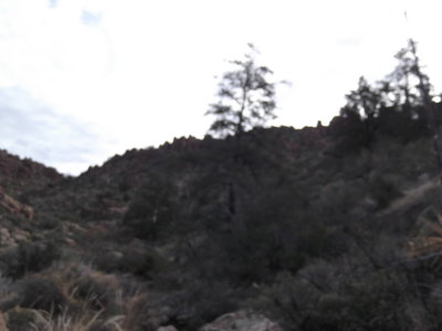2013 01 25_hike_0025.JPG