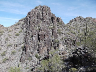 2013 01 31_Hike_0032.JPG