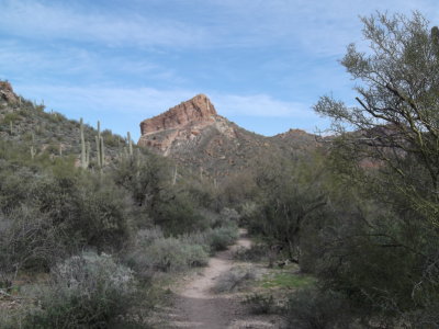 2013 02 08_Hike_0004.JPG