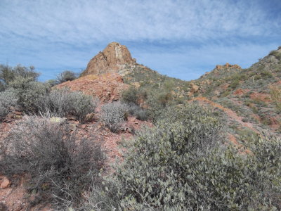 2013 02 08_Hike_0005.JPG