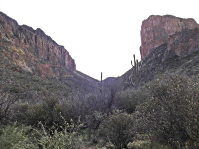 2013 02 08_Hike_0014_edited-1.jpg