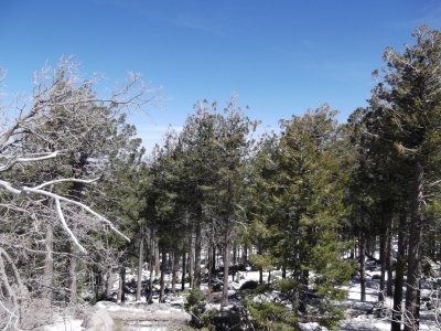 2013 04 11_Hike_0004.JPG
