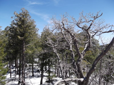 2013 04 11_Hike_0005.JPG