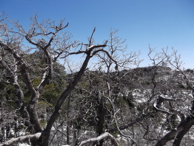 2013 04 11_Hike_0006.JPG