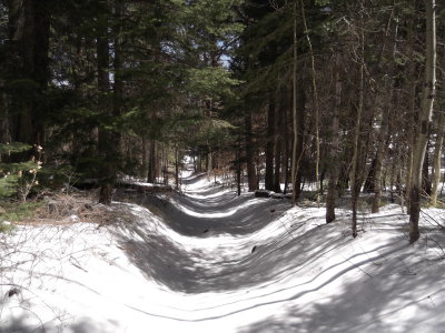 2013 04 11_Hike_0025.JPG