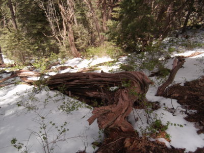 2013 04 11_Hike_0028.JPG