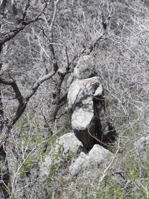 2013 04 11_Hike_0030.JPG