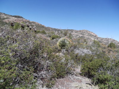 2013 04 18_Hike_0005.JPG