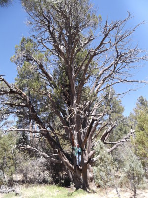 2013 04 18_Hike_0006.JPG