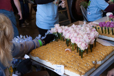 2013 Tournament of Roses - Preparation
