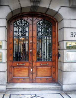 Stylish Mahogany Door