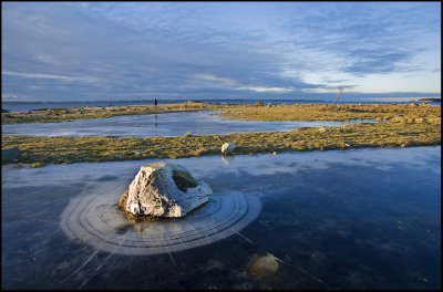 Icy fields........