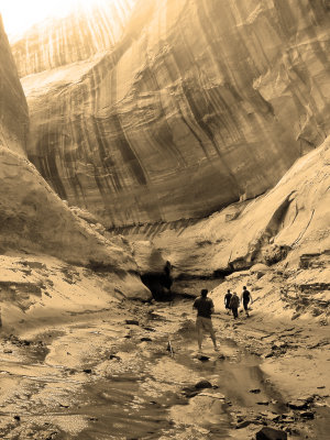 Catherdal Of The Desert ( Not Walked In For 40 Years)