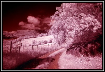 Dream valley
