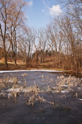Frozen Pond Land