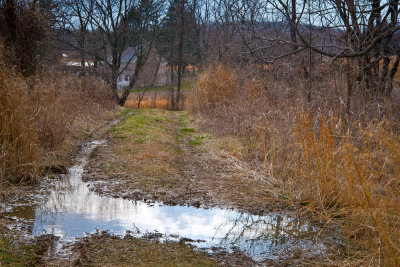 Puddle on the Trail