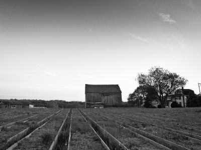 Old barn at sunset