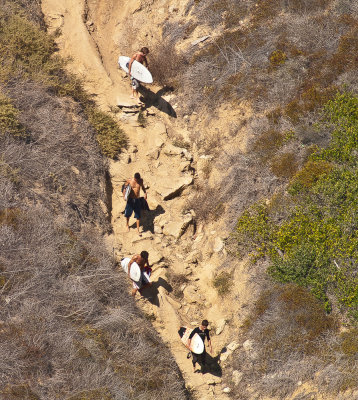 Surfing Safari