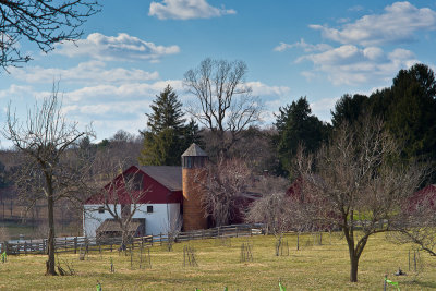 Barn and Silo in Springtime