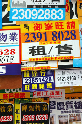 Kowloon signs 7