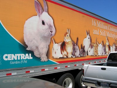 Bunny Truck
