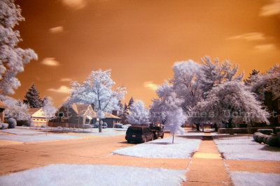 Street IR.JPG