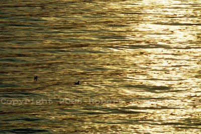 Sunset Lake MIchigan.jpg