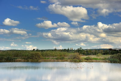 D3T_8032.jpg