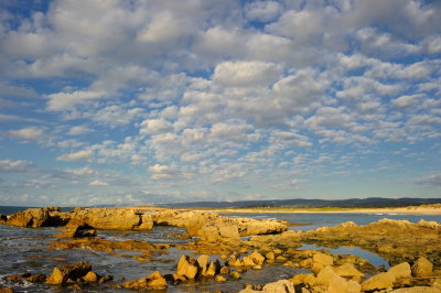 D3T_8414.jpg