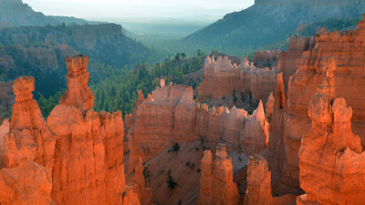 Bryce Canyon NP 5.jpg