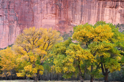 Canyon de Chelly - Canyon Floor 12.jpg