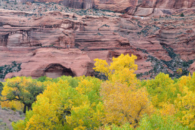 Canyon de Chelly - Canyon Floor 8.jpg