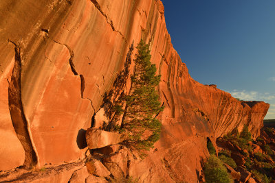 Canyon de Chelly - Rockscape 13.jpg