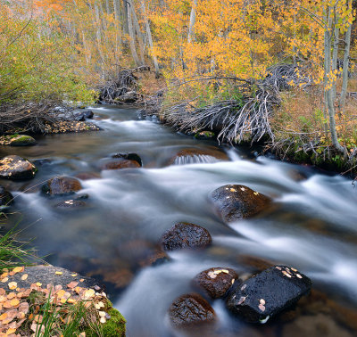 Eastern Sierras - Bishop Creek 10.jpg