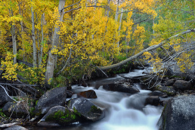 CA - Eastern Sierras - Bishop Creek 8.jpg