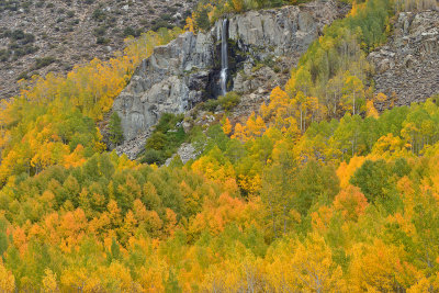 Eastern Sierras - Bishop Creek Canyon Fall Colors 7.jpg