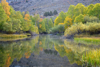 CA - Eastern Sierras - Rush Creek 3.jpg