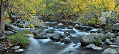 Oak Creek Fall Color 2.jpg