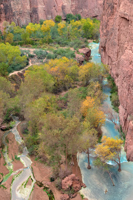 Havasu Creek Below Mooney Falls 2.jpg