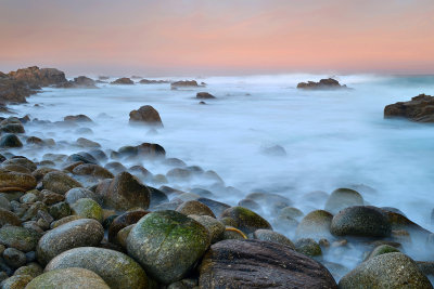 CA - Carmel 17 Mile Drive 5