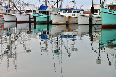 CA - Santa Barbara Harbor 31