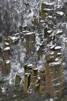 AZ - Chiricahua National Monument 4.jpg