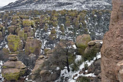 AZ - Chiricahua National Monument 6.jpg
