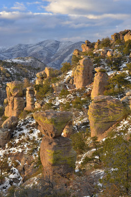 AZ - Chiricahua National Monument 9.jpg