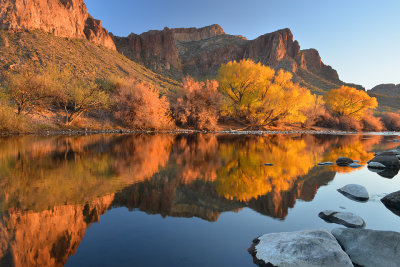 AZ - Salt River Fall Colors 10.jpg