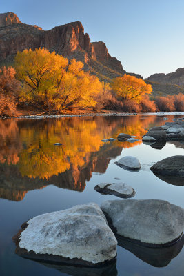 AZ - Salt River Fall Colors 11.jpg