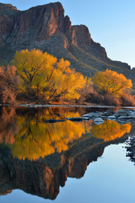 AZ - Salt River Fall Colors 12.jpg