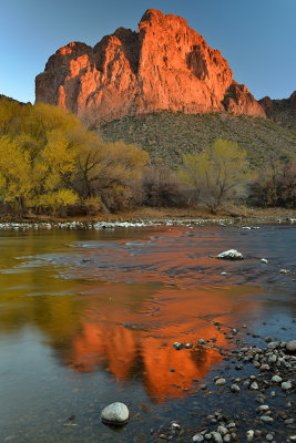 AZ - Salt River Fall Colors 14.jpg
