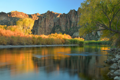 AZ - Salt River Fall Colors 2.jpg