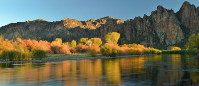 AZ - Salt River Fall Colors 3.jpg